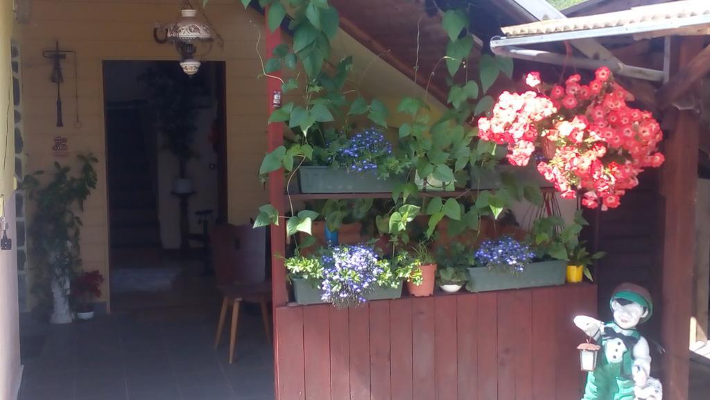 Hotel U Tri Kocek Jablonné v Podještědí Exterior foto